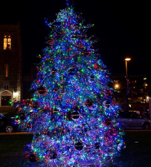 A brightly lit Christmas tree adorned with colorful lights and ornaments, set against a night sky.