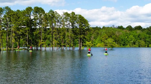 Two people paddleboarding on a calm lake surrounded by lush green trees and a partly cloudy sky.