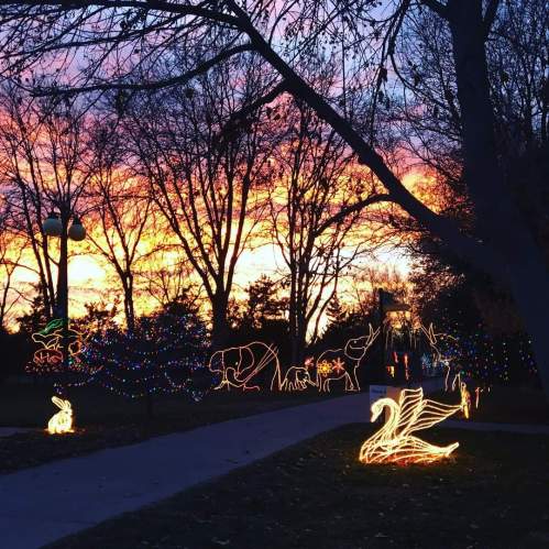 A sunset sky with vibrant colors, featuring illuminated animal shapes and festive lights in a park setting.