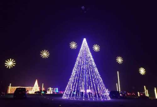 A brightly lit Christmas tree made of lights, surrounded by star-shaped decorations against a dark night sky.