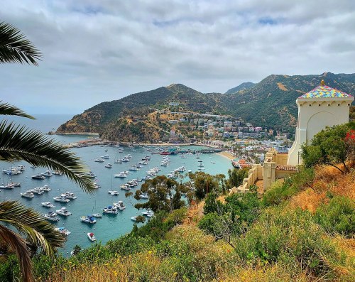 A scenic view of a coastal town with boats in the harbor, surrounded by hills and palm trees under a cloudy sky.