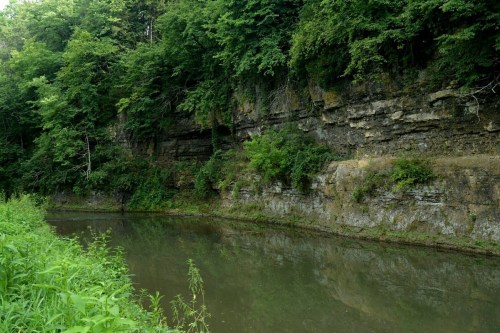 Lush green trees line a rocky riverbank, reflecting in calm water below a steep, moss-covered cliff.