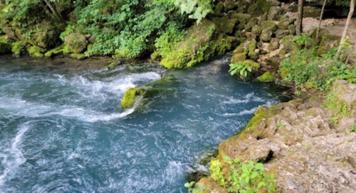A serene river flows through lush greenery, with moss-covered rocks lining the banks.