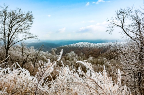 Frost-covered trees and grasses overlook a misty, mountainous landscape under a blue sky.