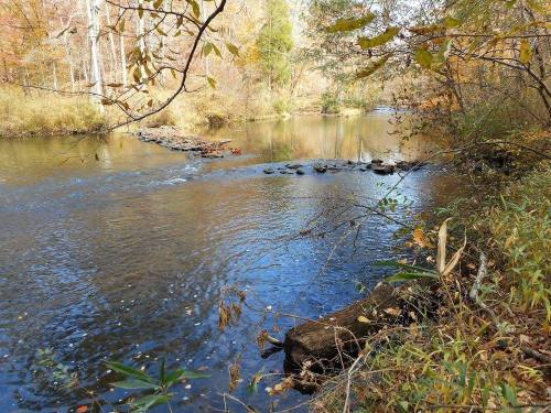 A serene river scene with autumn foliage, smooth water, and a rocky outcrop along the bank.