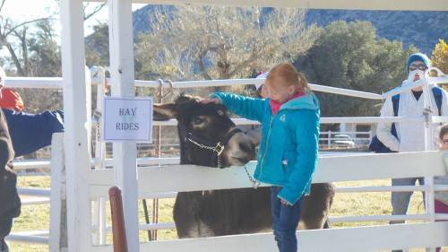A young girl in a blue jacket pets a donkey at a farm, with a sign for hay rides in the background.