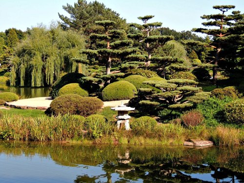 A serene garden scene featuring lush greenery, sculpted trees, and a tranquil pond reflecting the landscape.