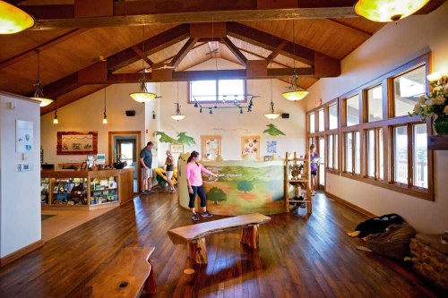 Interior of a welcoming visitor center with wooden beams, a reception area, and people interacting with a display.