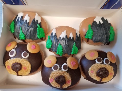 A box of creatively decorated donuts: two mountain-themed and three bear-shaped donuts with colorful details.