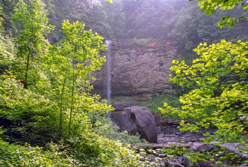 A serene waterfall cascades down rocky cliffs, surrounded by lush green foliage and a large boulder in the foreground.