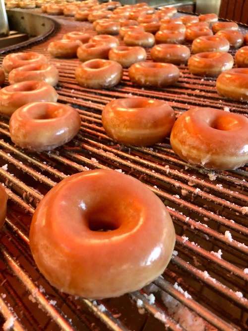 Freshly glazed donuts cooling on a rack, glistening with a sugary sheen.