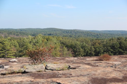 A rocky landscape with sparse vegetation, overlooking a lush green forest and rolling hills under a clear blue sky.