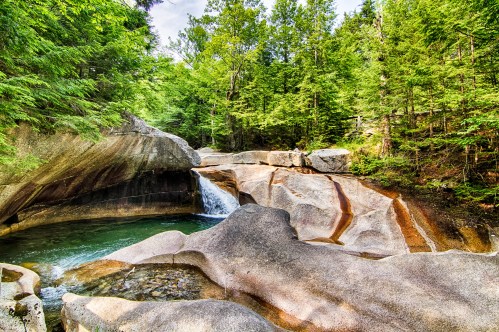 A serene forest scene featuring a small waterfall cascading over smooth, rocky terrain into a clear pool.