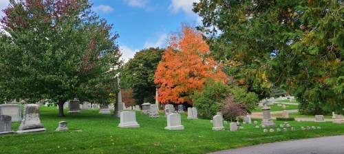 A serene cemetery scene with gravestones, vibrant autumn trees, and a clear blue sky.