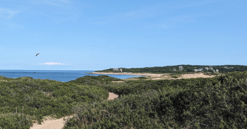 A serene beach scene with green dunes, a calm blue ocean, and distant houses under a clear sky.