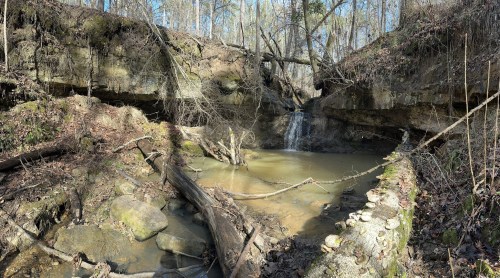A serene forest scene featuring a small waterfall, rocky terrain, and trees surrounding a calm, muddy pool of water.