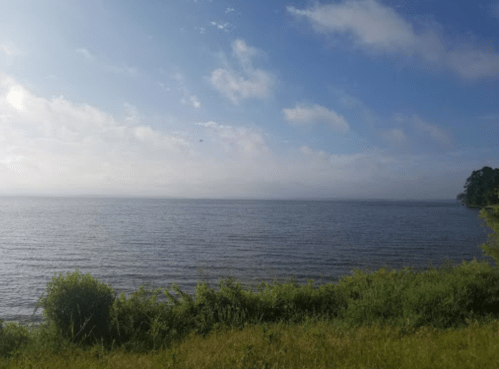 A serene view of a calm lake under a blue sky with scattered clouds, surrounded by lush greenery.