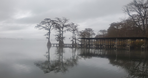 A misty lake scene with cypress trees and a wooden dock, reflecting on calm waters under a cloudy sky.