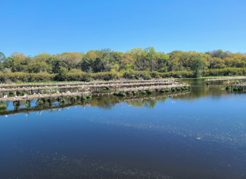 A serene lake surrounded by lush greenery and wooden structures reflecting in the calm water under a clear blue sky.