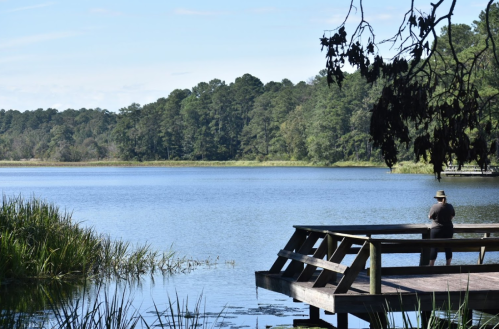 A serene lake scene with a wooden dock, surrounded by trees, and a person fishing peacefully.