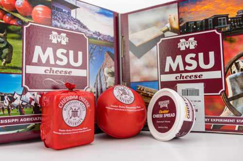 A display of MSU cheese products, including cheddar cheese and cheese spread, with a backdrop of Mississippi State University.