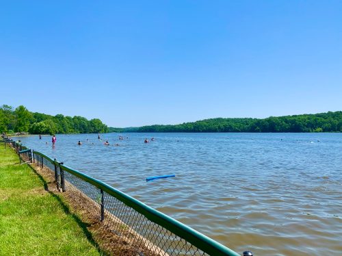 A sunny day at a lake with people swimming and a green landscape in the background, bordered by a fence.