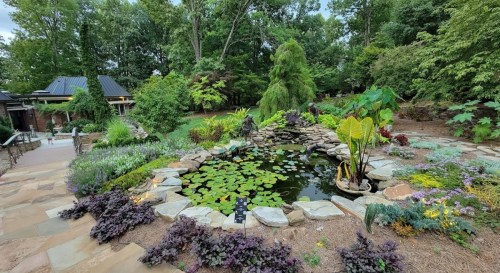 A serene garden featuring a pond with lily pads, surrounded by lush greenery and colorful flowers.