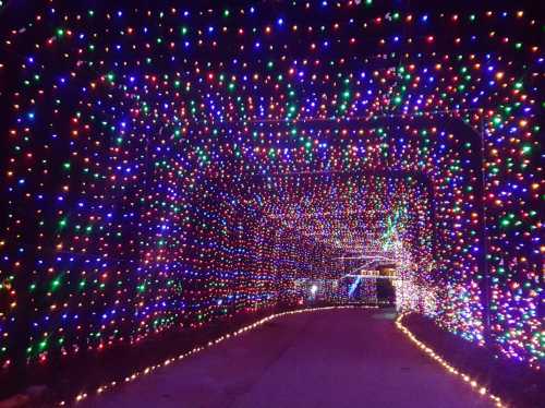 A colorful tunnel of twinkling holiday lights in various colors, creating a festive atmosphere.