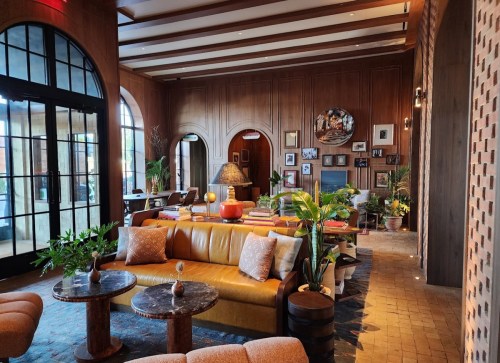 Cozy lounge with wooden accents, plush seating, plants, and warm lighting, creating an inviting atmosphere.