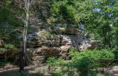 A rocky cliff surrounded by lush green trees and vegetation in a natural outdoor setting.