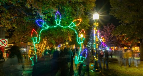 Colorful holiday lights illuminate a festive pathway, with people walking under a decorative arch at night.