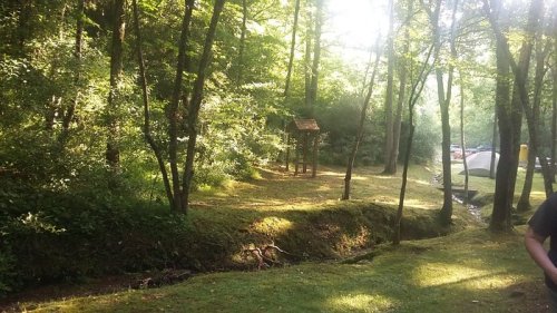A serene forest scene with sunlight filtering through trees, a small creek, and a camping area in the background.
