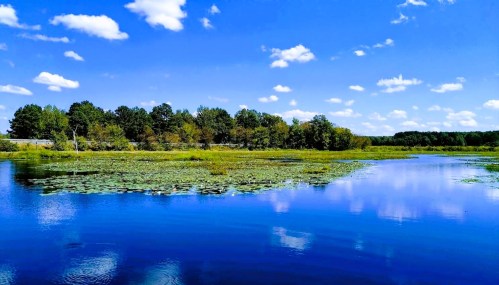 A serene lake surrounded by lush greenery and blue skies with fluffy clouds reflecting on the water's surface.