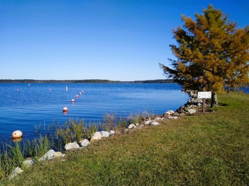 A serene lake scene with clear blue water, buoy markers, and a tree beside a grassy shore under a clear sky.