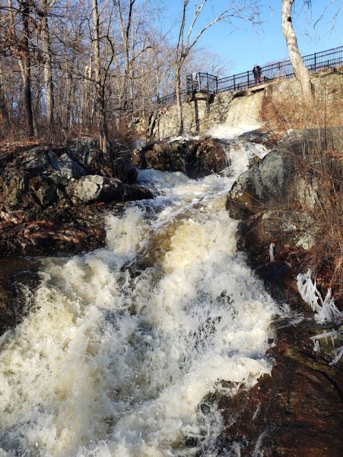 A rushing stream flows over rocks, with a bridge in the background and bare trees under a clear blue sky.