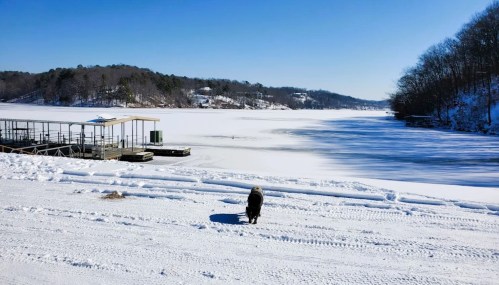 A dog walks along a snowy lakeshore under a clear blue sky, with frozen water and a dock in the background.