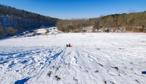 Two people sledding down a snowy hill, surrounded by trees and a clear blue sky.