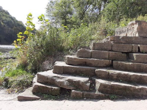 Stone steps leading to a riverbank, surrounded by greenery and trees, with a sign reading "Excelsior Rock."