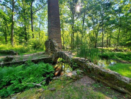 Ruins of a stone structure with a small arch bridge over a pond, surrounded by lush greenery and tall trees.