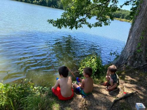 Three children sit by a lake, fishing from the shore on a sunny day, surrounded by trees and greenery.