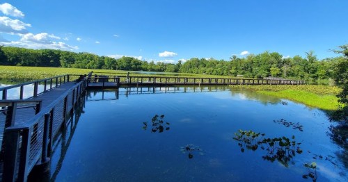 A wooden boardwalk stretches over a calm lake surrounded by lush greenery and blue skies with scattered clouds.