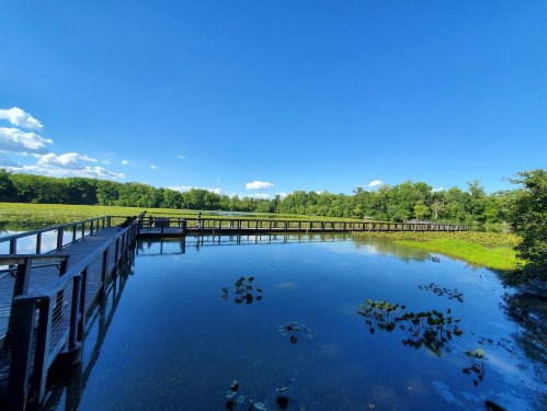 A wooden boardwalk stretches over a calm lake surrounded by lush greenery and blue skies with scattered clouds.