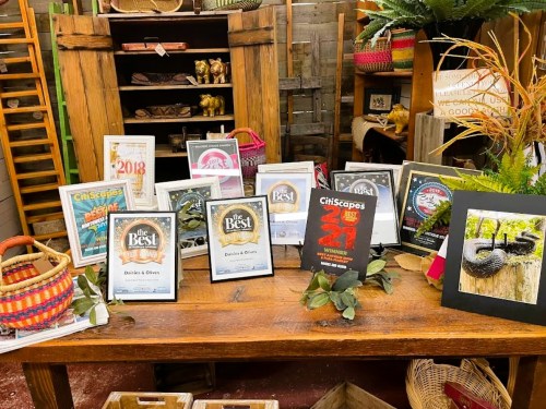 A wooden table displays various awards and certificates, surrounded by decorative items and plants in a rustic setting.
