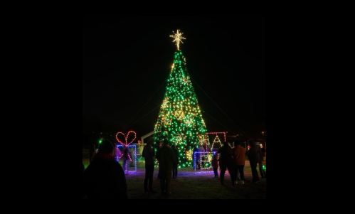 A brightly lit Christmas tree with colorful lights and decorations, surrounded by people at night.