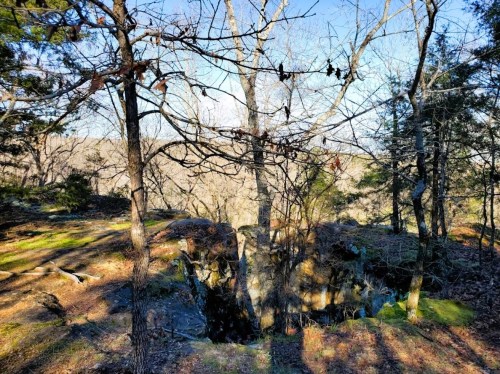 A serene landscape featuring bare trees and rocky terrain under a clear blue sky.