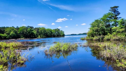 A serene lake surrounded by lush greenery and blue skies, reflecting clouds and trees in the calm water.