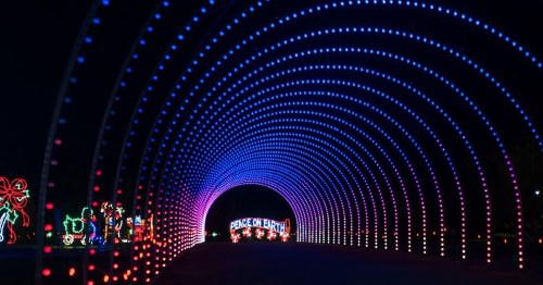 A colorful light tunnel with purple and blue lights, leading to a sign that reads "Peace on Earth."