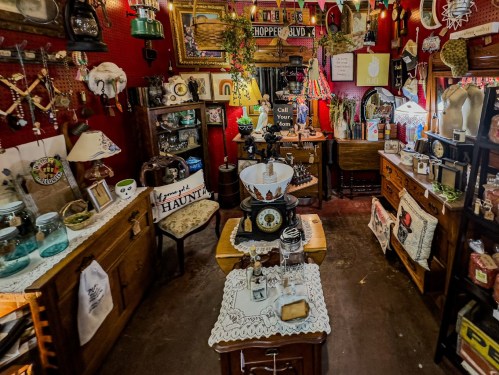 A cozy vintage shop filled with eclectic decor, antiques, and colorful displays on red walls.