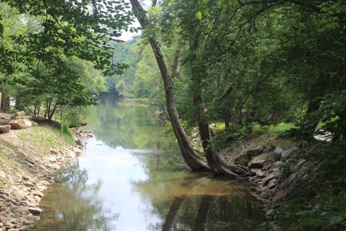 A serene river flows through a lush green landscape, with trees lining the banks and reflections on the water's surface.