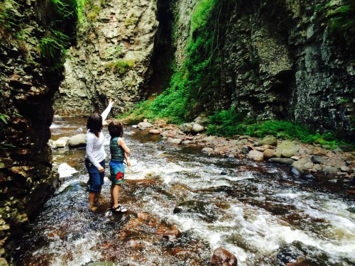 Two people stand in a shallow river, surrounded by rocky cliffs and lush greenery, pointing and exploring the area.
